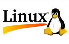 Linux主机