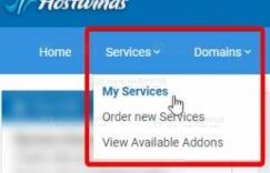 Hostwinds：如何检查服务器的续订日期