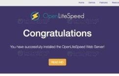 Hostwinds国外VPS服务器安装OpenLitespeed教程