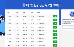 如何购买便宜的国外VPS